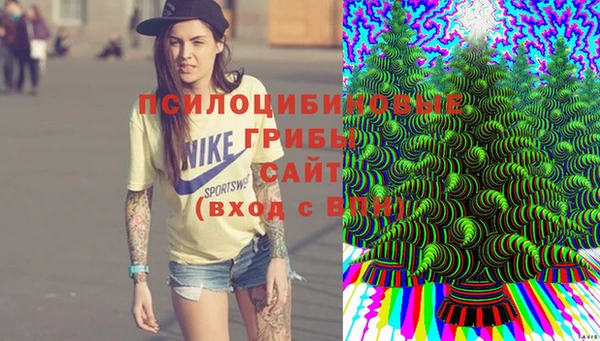 кокаин Алексин