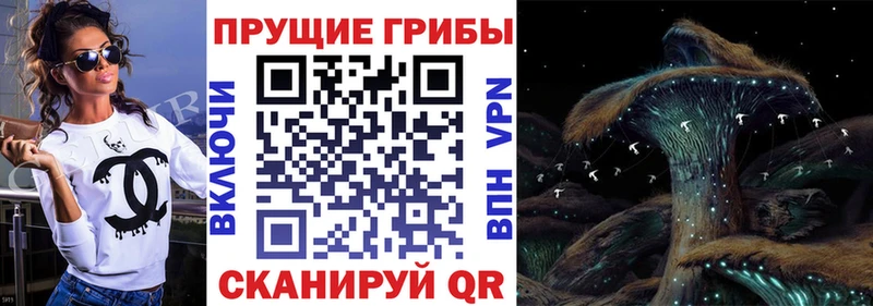 KRAKEN как зайти  купить   Бабушкин  Галлюциногенные грибы GOLDEN TEACHER 